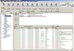 五行相生的方位布局与字词选择