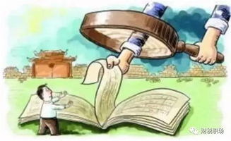 (3) 案例三：财务决策中的利益失衡