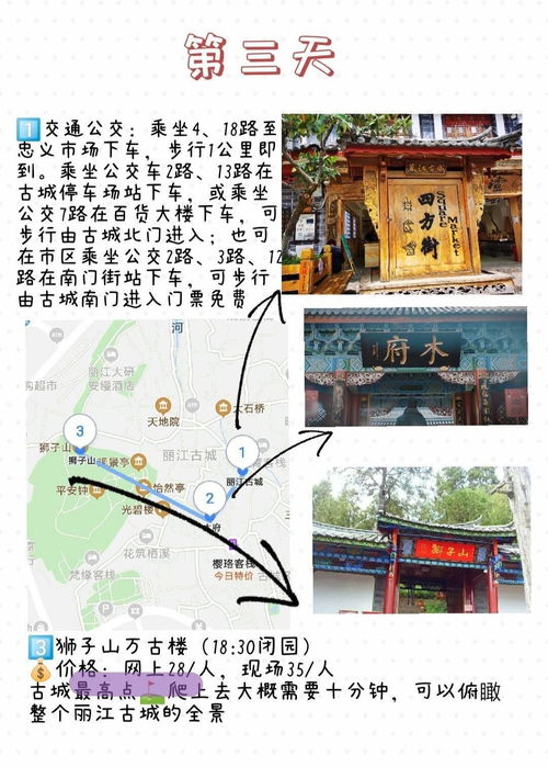 差异化策略提议：基于实战的独到见解