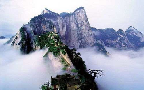 先骂一句:白天景区都是智商税!