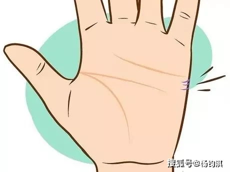 震惊！手掌纹路竟然能预测你的人生！