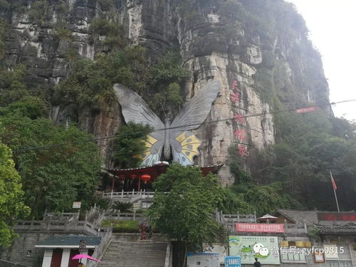 行前准备：这些