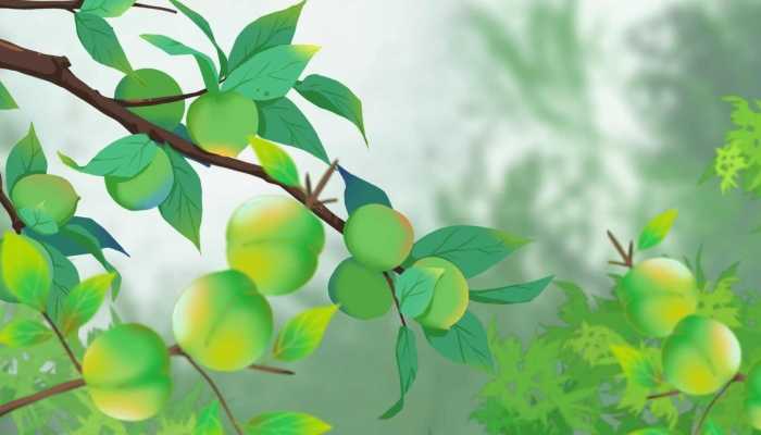 芒种的文化寓意与象征体系