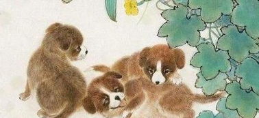 属狗女在哪个月份出生能旺家运呢？