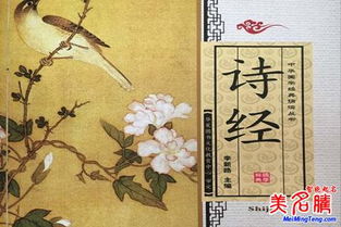 二、 把诗句拼凑成名字（不管对仗）