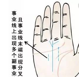 三、  基于性别与特定情境的差异化解析