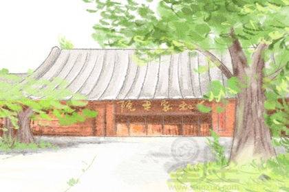 家里摆放石头风水吉凶，镇宅第一名树是哪种？