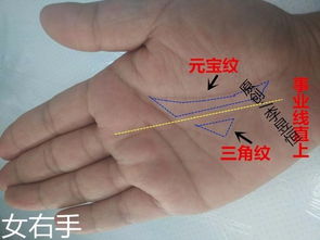 手相三线同源爪字纹是什么意思？三线同源手相大全都有哪些内容？