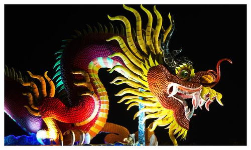 2026年属龙的人为什么不能穿某些颜色衣服，而适合穿什么颜色呢？