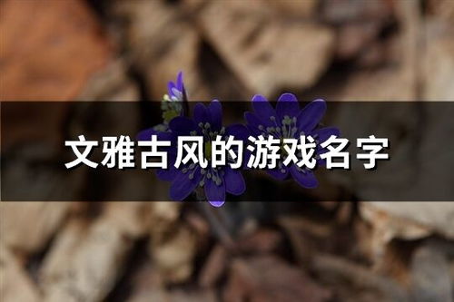 （一） 狮子座与处女座的霸气与细腻交融