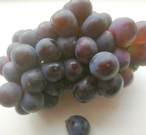 梦见老婆吃葡萄预示着什么含义？