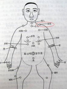 二、 痣相学的理论框架