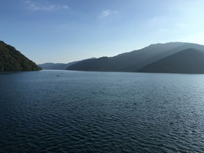 午餐时间：一场“舌尖上的灾难”与智商税的双重收割