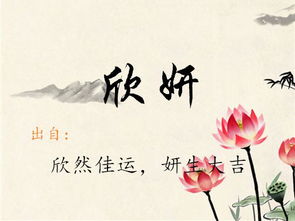 (1) 字义的选择