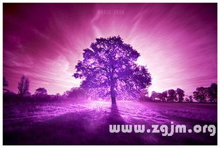 天秤男和金牛女是否是绝配的上升星座组合呢？