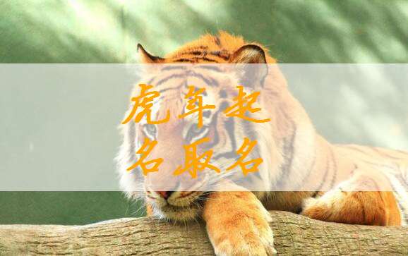 有哪些良好听的猴年陈姓男孩名字推荐