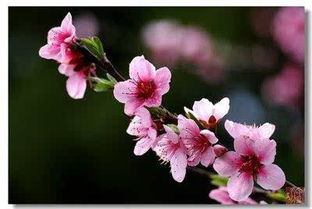 命运这玩意儿，到底靠谱不靠谱？