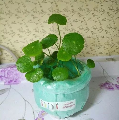 研究背景与目的