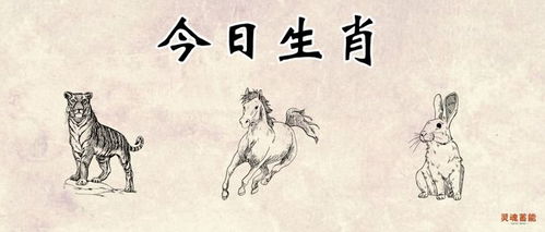 农历九月初二是什么黄历日？和九月初八一样吗？