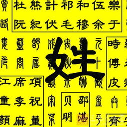 不同生肖的姓名宜忌