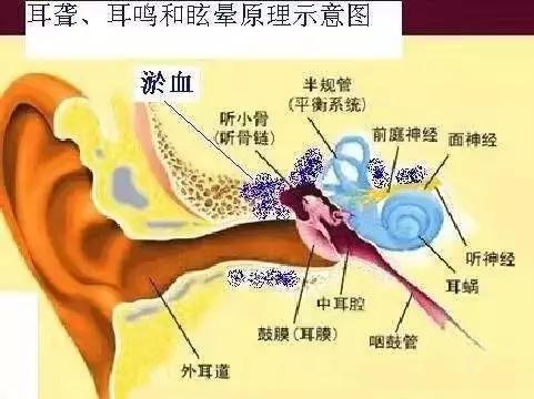 医学视角的解析：病理原因的多样性