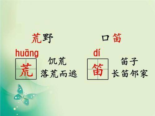 别再只会用“花”了！一些对比“特别”的搭配方案