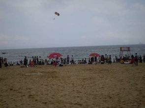 深圳大梅沙：一场大型社死现场的自救指南