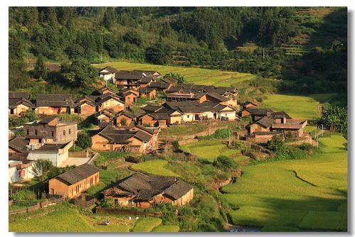 如何找到多位专家改善房子进蛇的风水问题？