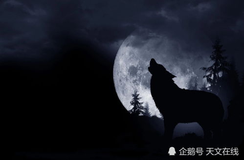 研究背景与文献综述
