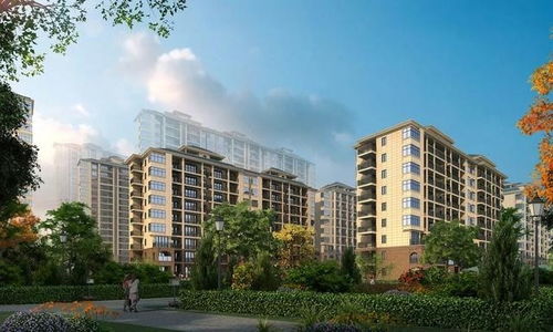 四、物业管理与社区文化：居住环境质量的关键