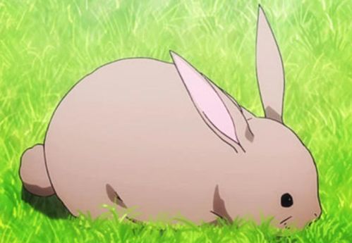 将家长里短打一生肖，这个生肖是哪个？