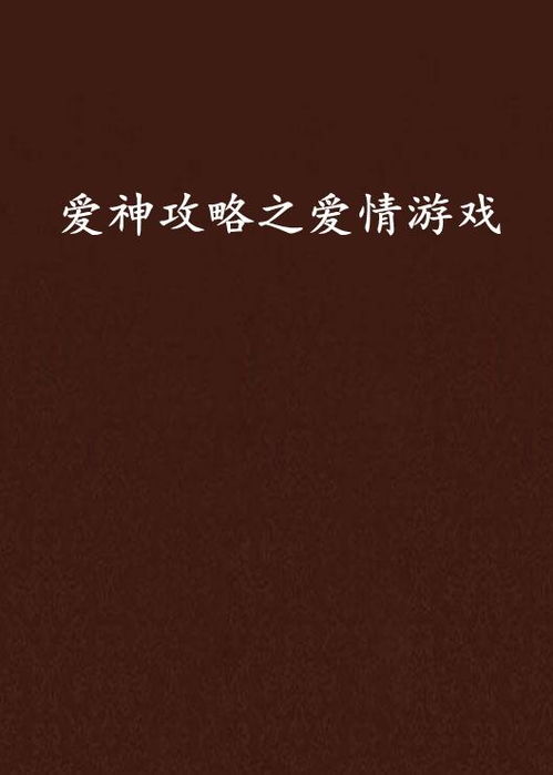 3.2 “Neng”能量模型及其多维作用