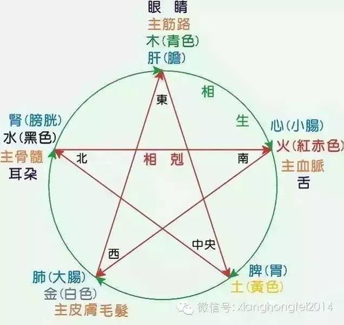 二、 五行缺水的多维度表现：美容、健康与心理的连锁反应