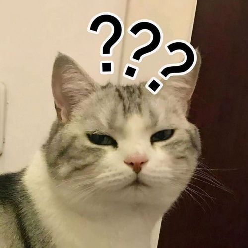 简洁简单记的名字