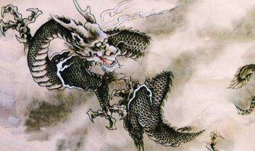 属龙今日偏财运最旺，车牌号中隐藏的吉数是什么？