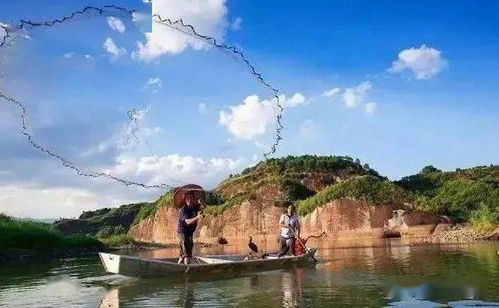 住宿：你想睡在古董里吗？（睡姿：僵尸式）