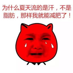 3.1 熊姓：炽炎热能量的生命燃烧逻辑
