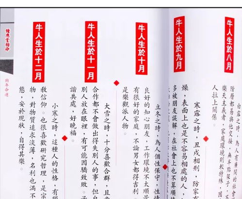 2026年身弱戊土如何调整运势以应对戊戌年？