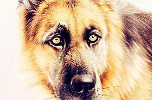 30岁：饥不择食的灾难