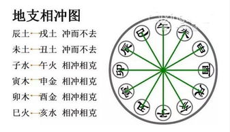 三、生肖相冲对居住环境的潜在影响及调适原则