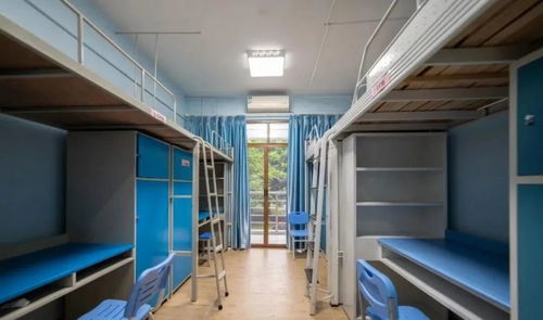 1.3 财运与健康的影响