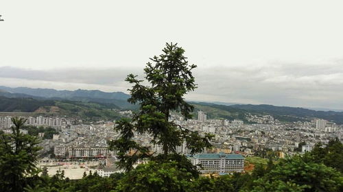 黎平公园：一场披着优惠外衣的