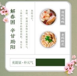 2.2 饮食调养的原则与实践要点