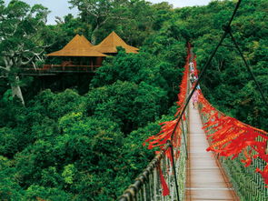 景点：网红打卡地VS老年活动中心