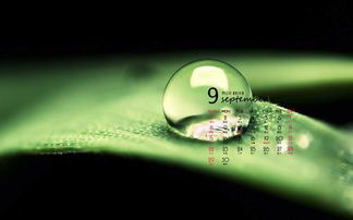 2026年哪个月份和时辰最容易生男孩？