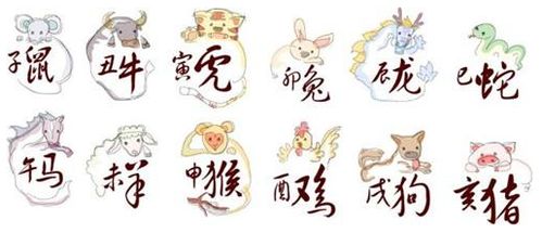 壮心不以对应哪个生肖？这生肖特点有哪些？