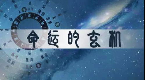 一、 八字理论框架及伤官偏财之基本属性