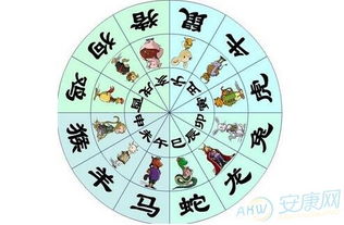 四、长尾名字到底是啥玩意儿？(别问我为什么叫长尾)