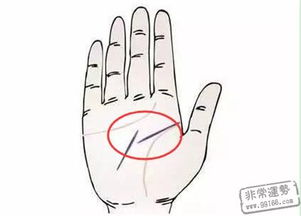 4. 婚姻线数量及形态解读
