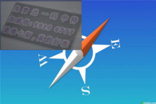 粗枝大叶是哪个生肖？12生肖的缺陷一览表具体指什么？